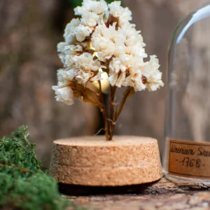 Fleur stabilisée sous dôme - Limonium