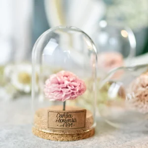 Fleur séchée sous dôme - Dahlia