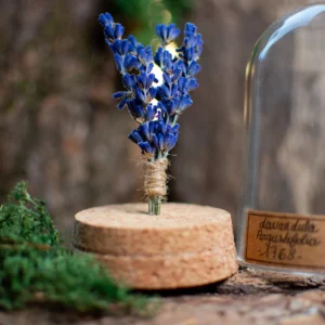 Fleur séchée sous dôme - Lavande